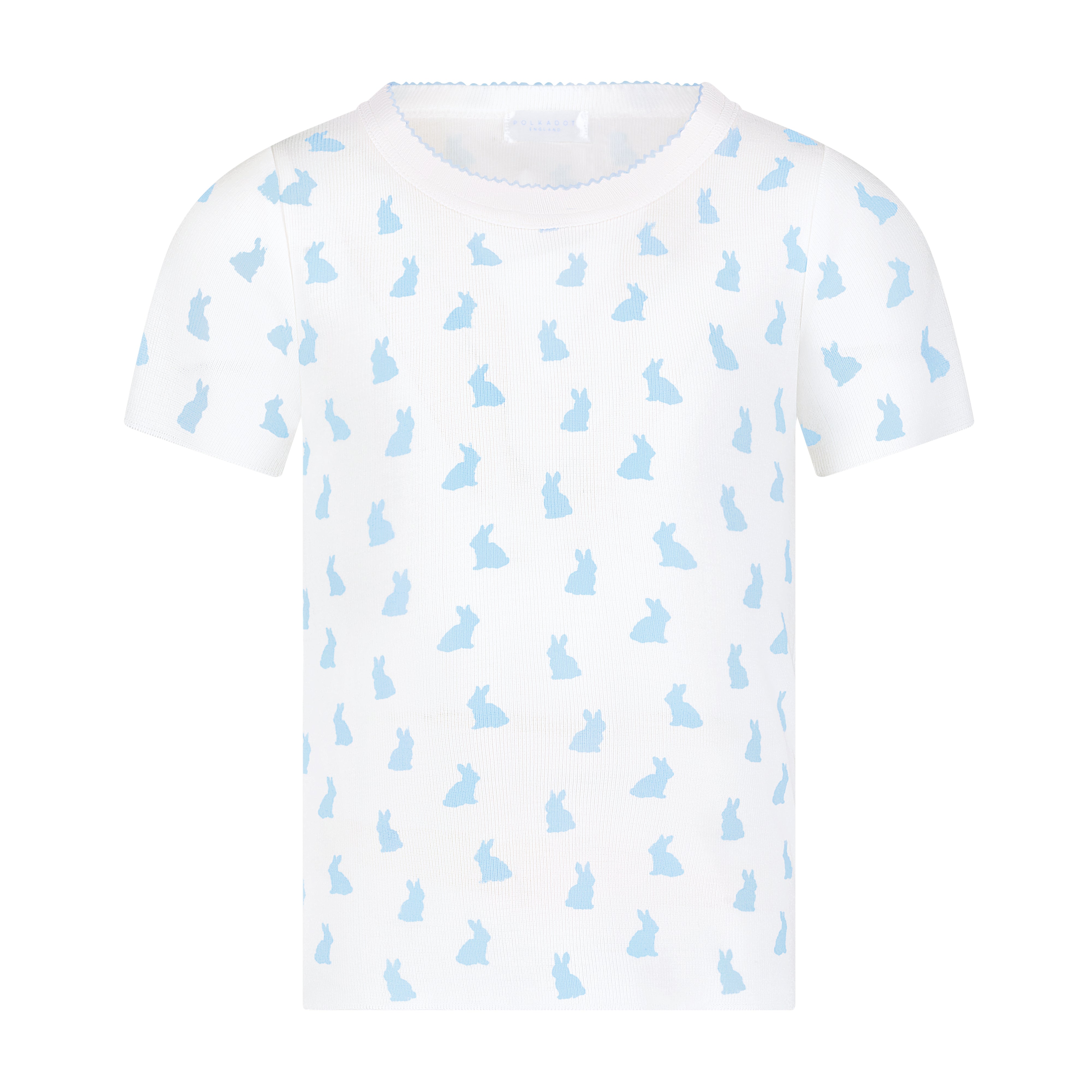 Boys Dean Set Crew Short Sleeve & Long Short - Blue Bunny Print