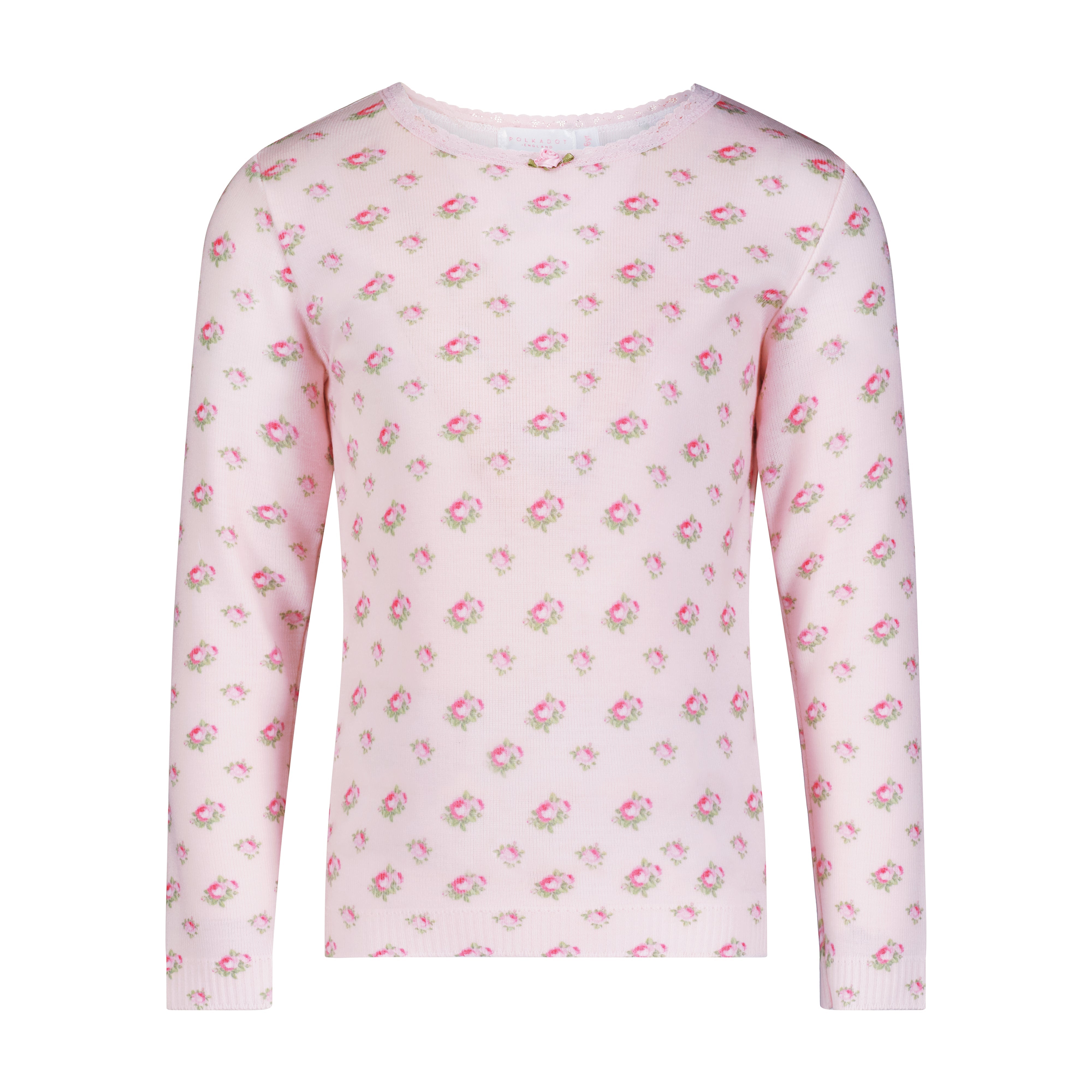 Girls & Baby Crew Long Sleeve - Pink Vintage Ditsy Rose Print